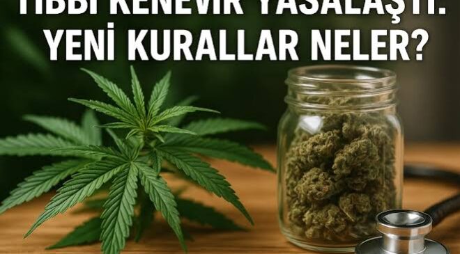 TIBBİ KENEVİR: TÜRKİYE’DE YENİ YASAL DÖNEM VE DÜNYADAKİ UYGULAMALAR  Sadakat Haber Ajansı Araştırma Birimi