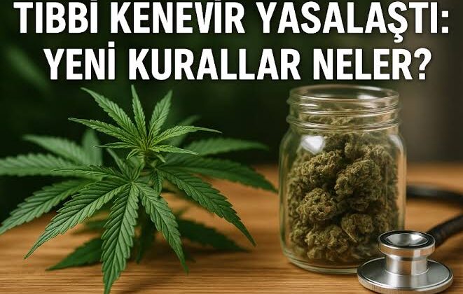 TIBBİ KENEVİR: TÜRKİYE’DE YENİ YASAL DÖNEM VE DÜNYADAKİ UYGULAMALAR  Sadakat Haber Ajansı Araştırma Birimi