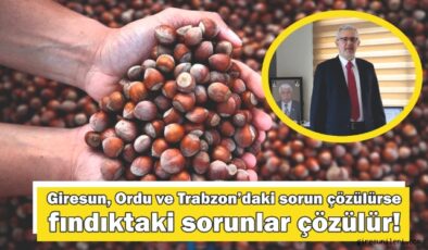 FINDIKTA KUMPAS MI VAR?  ÜRETİCİYİ YOK ETME PLANI MI DEVREDE?