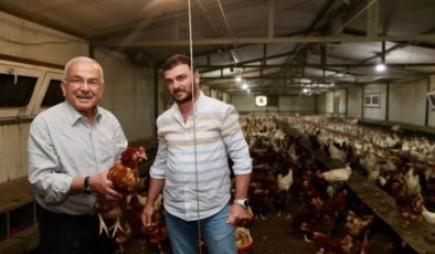 Ordu’da Yumurta Sektörü Yeniden Doğdu: İşletme Sayısı 85’e, Hedef 100 Milyon Yumurta