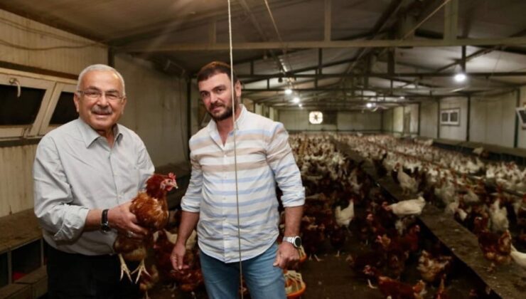 Ordu’da Yumurta Sektörü Yeniden Doğdu: İşletme Sayısı 85’e, Hedef 100 Milyon Yumurta