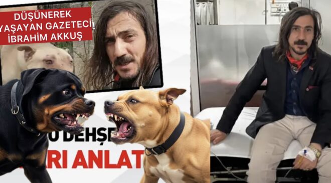 SAMSUN’DA DÜŞÜNEREK YAŞAYAN GAZETECİ İBRAHİM AKKUŞ’A KÖPEKLER SALDIRDI