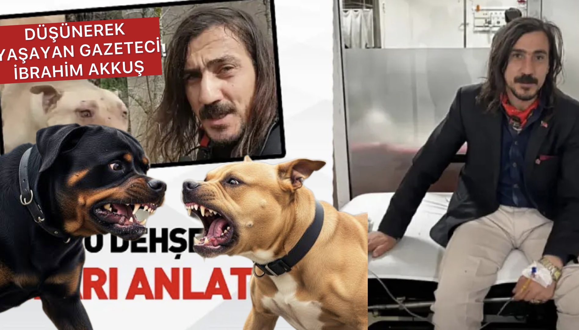 SAMSUN’DA DÜŞÜNEREK YAŞAYAN GAZETECİ İBRAHİM AKKUŞ’A KÖPEKLER SALDIRDI