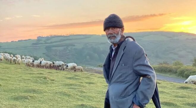 Beklenen Bereket Gelmedi, Küçükbaş Üreticisi Şaşkın.