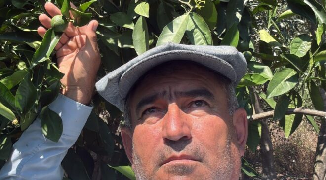 KUMLUCA’DA ÜRETİCİYE YAZ ALARMI: DOĞRU ZAMANLAMA ALTIN DEĞERİNDE!