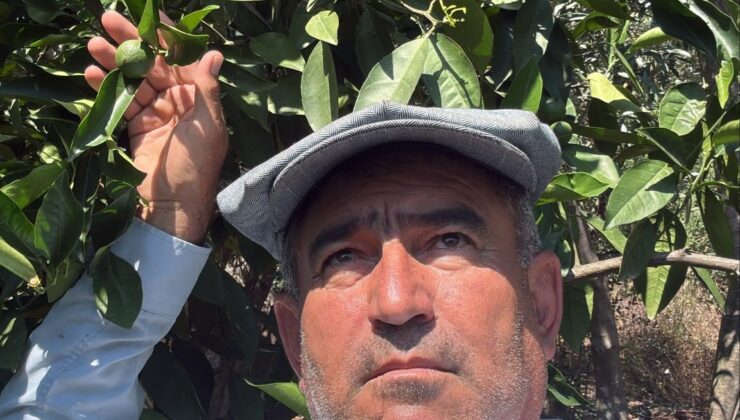 KUMLUCA’DA ÜRETİCİYE YAZ ALARMI: DOĞRU ZAMANLAMA ALTIN DEĞERİNDE!